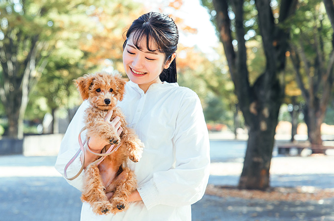 お散歩代行コース