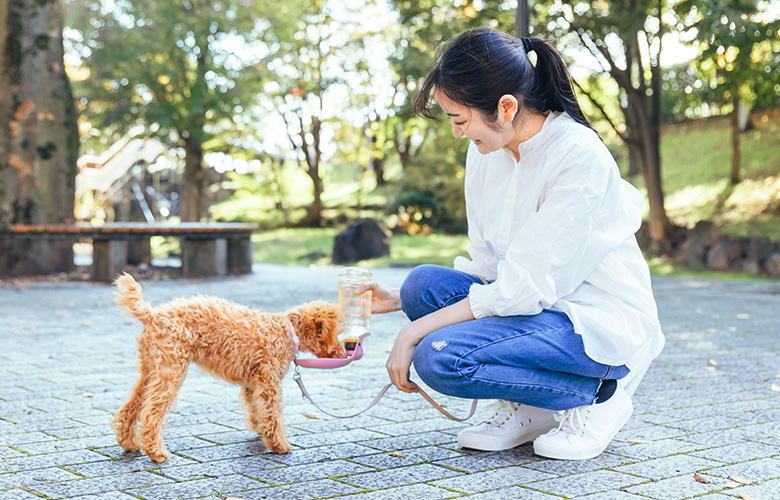 ペットシッター賠償責任保険加入店